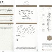 Diamant natural 1,04 ct., I, SI1, certificare GIA