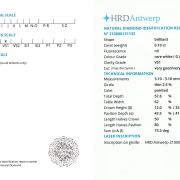 Diamant natural 0,10 ct., G, VS1, certificare HRD Antwerp