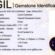 Granat 1,20 ct., certificare GIL Thailanda