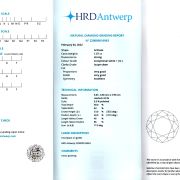 Diamant natural 1,05 ct., E, VVS2, HRD Antwerp