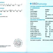 Diamant natural 0,33 ct., F, SI2, certificare HRD Antwerp