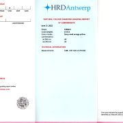 Diamant 0,16 ct., Natural Fancy vivid orange yellow, certificare HRD Antwerp