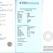 Diamant natural 1,05 ct., E, SI1, HRD Antwerp