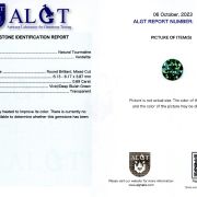 Verdelit 0,89 ct., certificare ALGT Antwerp