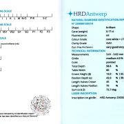 Diamant natural 0,17 ct., F, VVS1, certificare HRD Antwerp