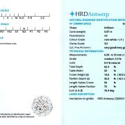 Diamant natural 0,87 ct., F, SI2, certificare HRD Antwerp