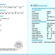 Diamant natural 0,34 ct., G, P1, HRD Antwerp
