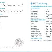 Diamant natural 0,22 ct., E, VVS2, certificare HRD Antwerp