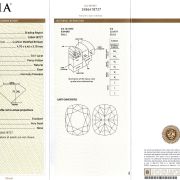 Diamant 0,61 ct., Fancy Yellow, IF, certificare GIA