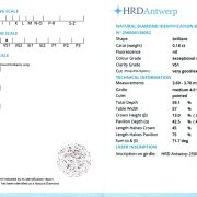 Diamant natural 0,18 ct., E, VS1, certificare HRD Antwerp