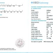 Diamant natural 0,25 ct., F, VS2, certificare HRD Antwerp