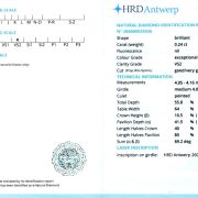 Diamant natural 0,24 ct., E, VS2, certificare HRD Antwerp
