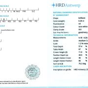 Diamant natural 0,26 ct., G, VS1, certificare HRD Antwerp