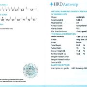 Diamant natural 0,30 ct., D, VS1, certificare HRD Antwerp