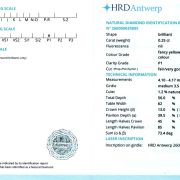 Diamant natural 0,25 ct., Fancy Yellowish Brown, P1, certificare HRD Antwerp