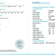 Diamant natural 0,18 ct., G, VVS2, certificare HRD Antwerp